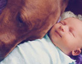 newborn baby with pet dog