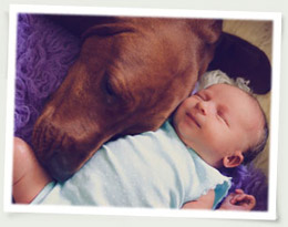 baby with house pet dog